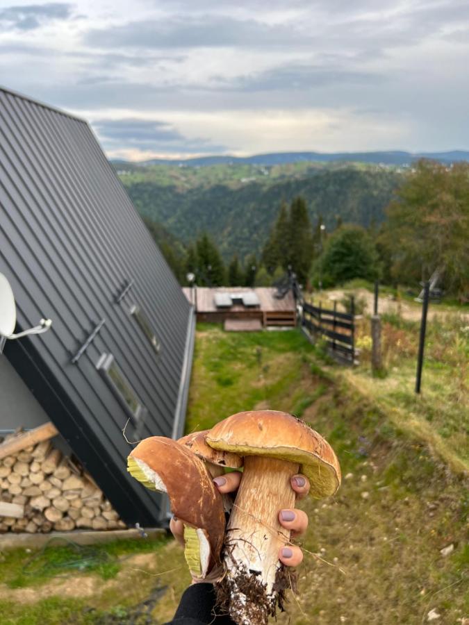 Nordik Cabin - Aframe With 2 Bedrooms Marisel Exterior photo